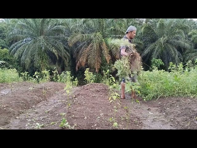 3 Bulan Kita Menunggu Saatnya Bawa Pulang..!! Panas Hujan Kilat Petir Gemuruh Tidak Jadi Halangan class=