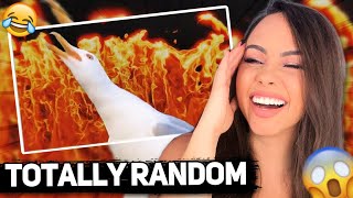 Totally Random MEMES 😂 | Bunnymon REACTS