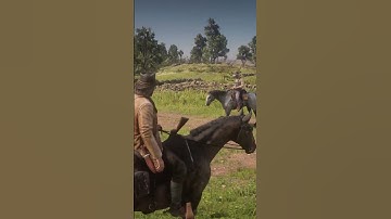 The random encounters in RDR2 are some of the best parts of the game