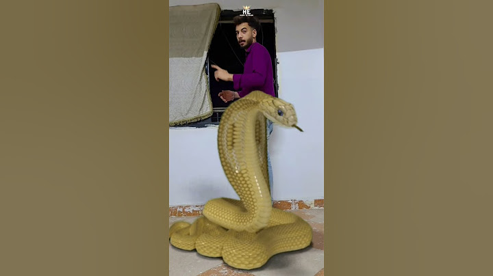اكبر ثعبان بالعالم #hanyelybani