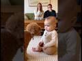 初めて犬に文句を言われた赤ちゃん、どうしていいか分からず固まってしまう。。。#dog #baby #cute #funny #shorts #shortvideo #赤ちゃん #トイプードル