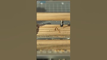 The Most Affordable Desktop CNC? Meet the 3018 Pro Ultra!