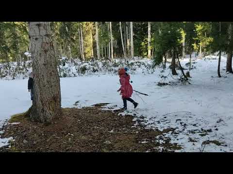 წითელქუდა და მგელი.ელენე და იოანე ბორჯომი სადგერის ტყე.