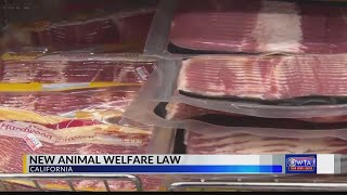 New Animal Welfare Law