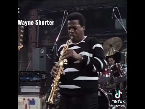 Sax Classic Shorts Divinemasculine Music Saxophonist Saxophone Wayneshorter Saxy 