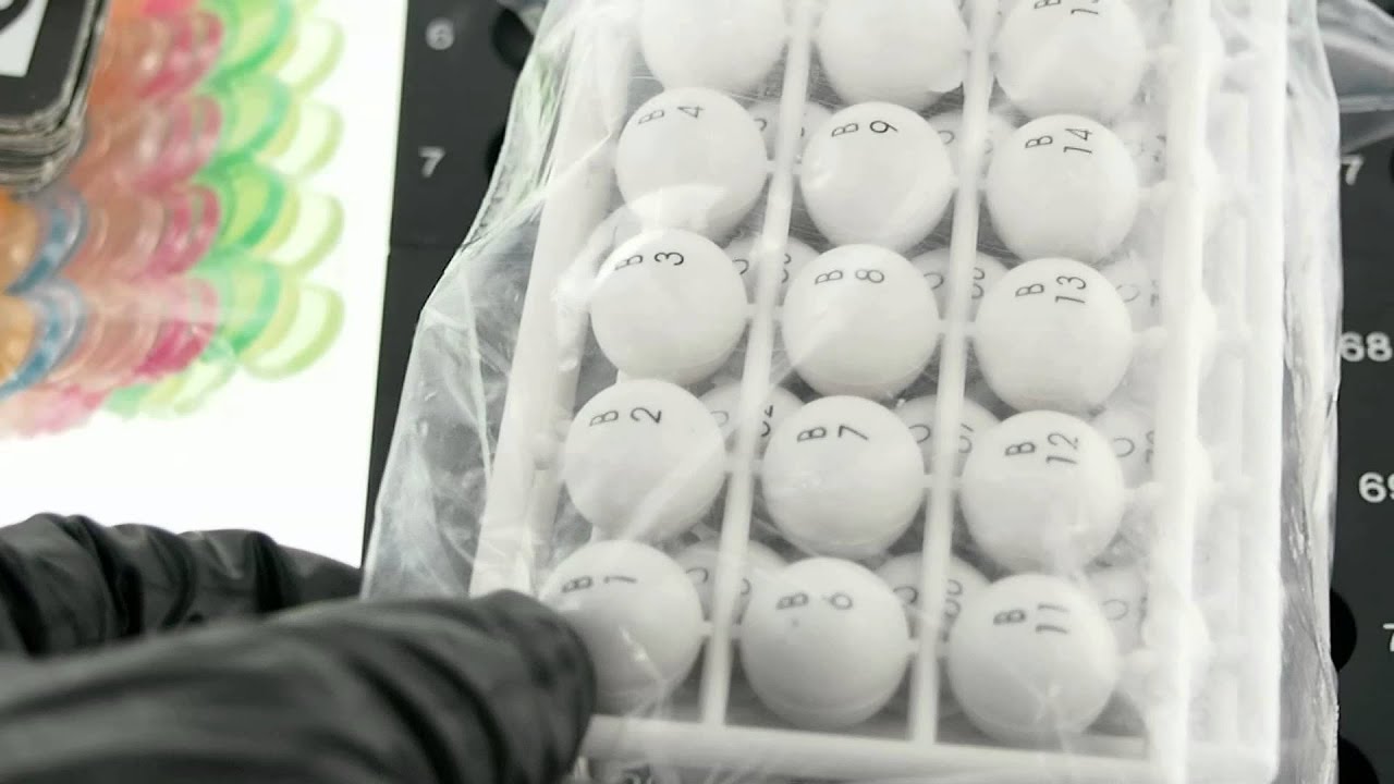 Tombola band Tombola band