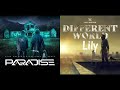 Alan Walker K 391 Paradise X Lily Mashup