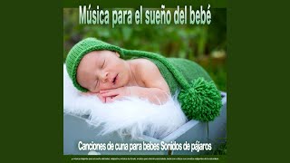 Sonidos de aves - Música tranquila screenshot 4