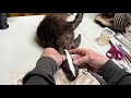 Mounting Ole’ Chisel Tooth Part 9