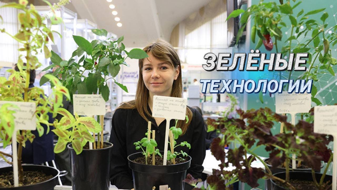 ЭКОТУРИЗМ, ЗЕЛЕНЫЕ ШКОЛЫ И ПЕРЕРАБОТКА СТЕКЛА || В Минске открылась выставка Ecology Expo-2023