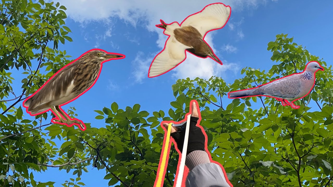 Cầm Ná Dạo Một Vòng Kiếm Cò Về Làm Món Khìa Nước Mía | Anh Bảy Vlogs