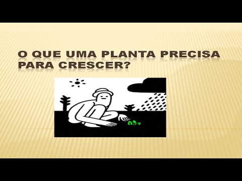 O QUE A PLANTA PRECISA PARA CRESCER?