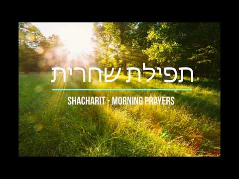 Vídeo: Què és el servei shacharit?