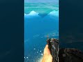 FC 3