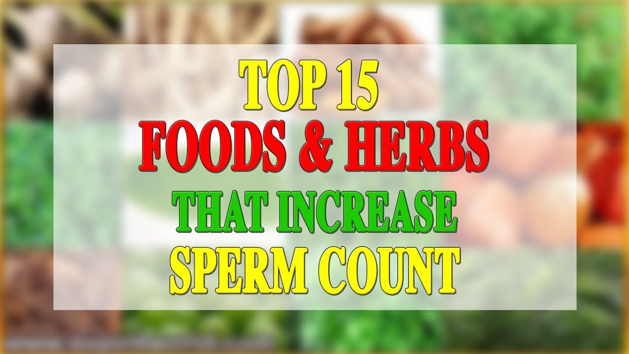 TOP 15 FOODS & HERBS THAT INCREASE SPERM COUNT YouTube