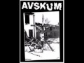 Miniature de la vidéo de la chanson Fuck The Bomb