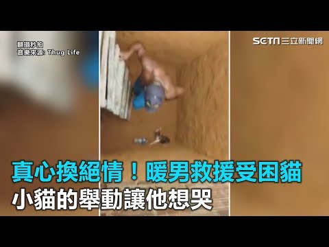 真心換絕情！暖男救援受困貓　小貓的舉動讓他想哭｜三立新聞網SETN.com
