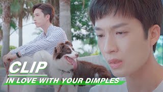 Clip: Lu Lost His Beloved Rouwan | In Love With Your Dimples EP20 | 恋恋小酒窝 | IQiyi Clip: Lu Lost His Beloved Rouwan | In Love With Your Dimples EP20 | 恋恋小酒窝 | IQiyi