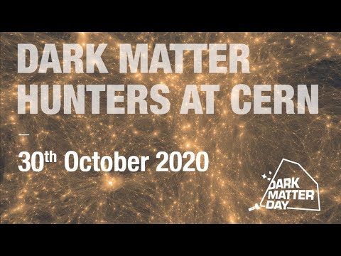 Meet Dark Matter hunters at CERN