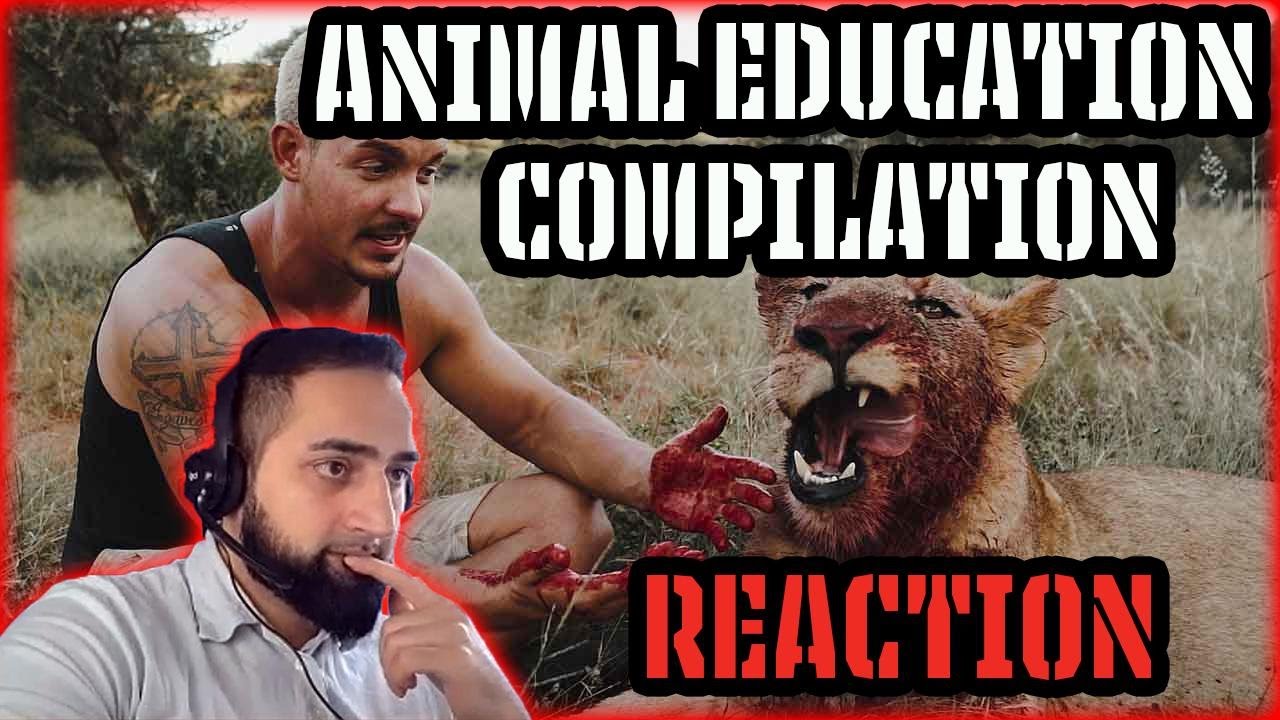 Nawo Reacts To Education Animal Compilation With Dean Schneider | Nawo Reaction