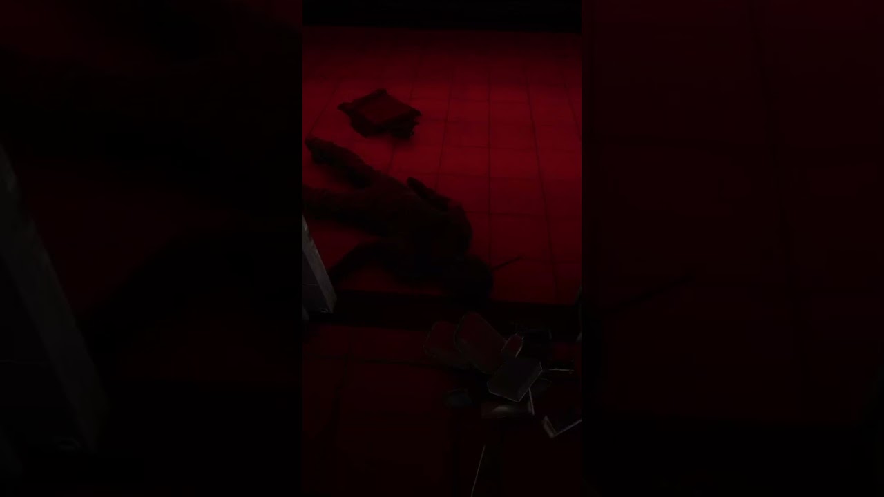 He knows something we don't | SCP Secret Lab