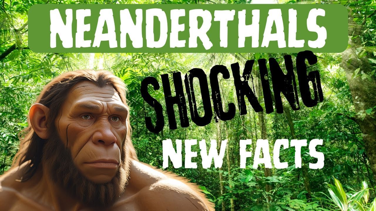 Neanthal Rottip Neantherdals: Top Five Shocking, Little-Known Facts - YouTube
