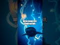 The Hidden Light Bioluminescence Across Species
