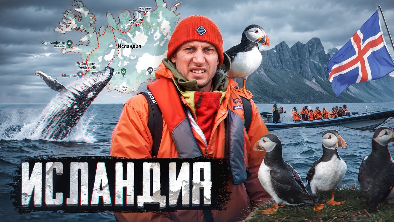 Дикая Исландия: остров тупиков, бездорожье и китовая столица мира.