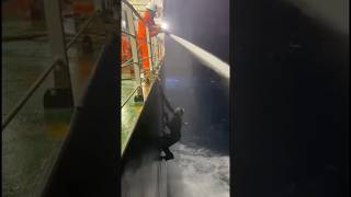 Ship Pirate Falls Into Water After Getting Sprayed