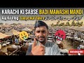 KARACHI ki sabse BADI Mawashi MANDI 💪💪❤️❤️Sirajfamily0 Eid Mubarak ❤️❤️Aapane kya kharida hai 🐮🐮❤️🆕