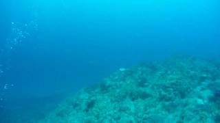 20091025坊津1