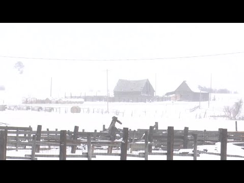 Spring storm bring 3+ of snow to small Montana town of Pony