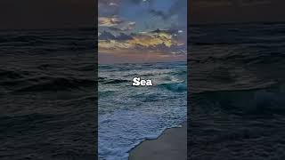 🤟😎🤏 Typing.... #new #love #song #sorts #video #this #viral #lifestyle #instagram #besties #viwes 🥳😂😅