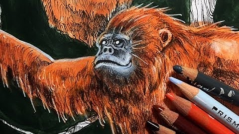 Animorphia Coloring by Kerby Rosanes