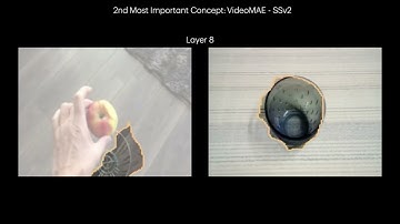 Understanding Video Transformers via Universal Concept Discovery (CVPR 2024 Highlight)