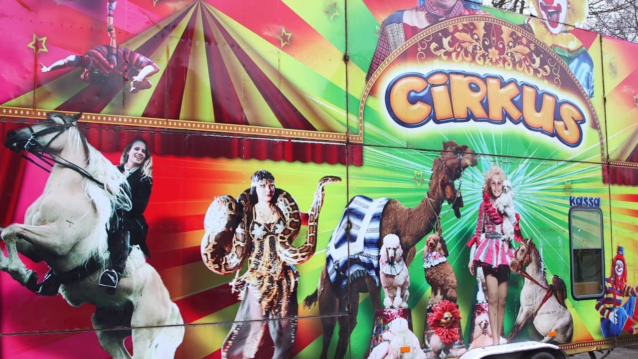 cirkus snu cirkus snu