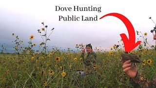 Dove Hunting - Hackberry Flat and Gist WMA (Hunting Public)