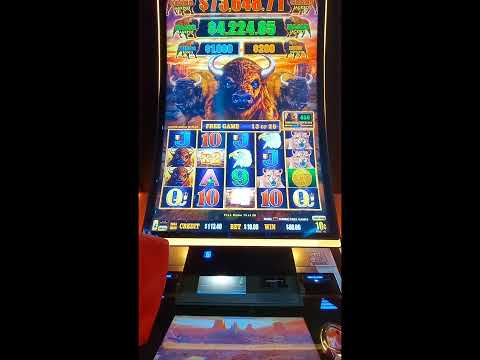 Watch Casino Online | Задержки выплат в Cool Cat Casino