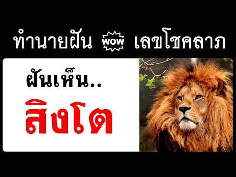 #ฝันเห็นสิงโต #ทำนายฝัน #ทำนายฝันและเลขโชคลาภ #ฝันเห็น