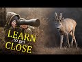How to get close to animals  learn from a pro pov wildlife photography