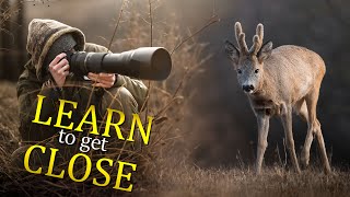 How to get CLOSE to animals  Learn from a PRO. (POV Wildlife Photography)