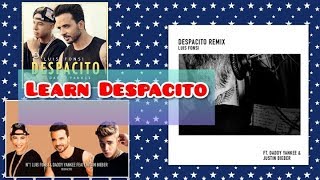 Despacito Remix (Lyrical Video)