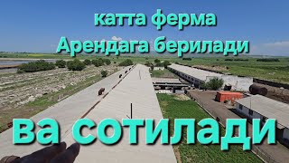 ФЕРМА АРЕНДАГА ВА СОТИЛАДИ ТОШКЕНТ ВИЛОЯТИ ОХАНГАРОН 