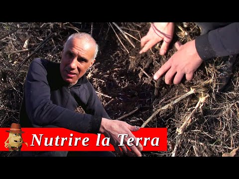 Video: Che cos'è un terreno ben drenante - Scopri l'importanza di un terreno ben drenato