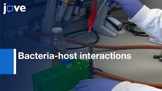 Bacteria-host interactions characterized by Biomimetic Materials | Protocol Preview