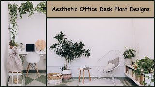 Affordable and Stylish Office Desk Plant Decoration Ideas