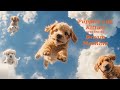 Puppies and Kitties -   Luma Dream Machine creation