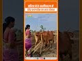 Women Empowerment: Devendra Fadnavis की नई योजना से Maharashtra में नारी शक्ति को बल! #NariShakti