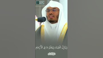 تلاوة إبداعية للشيخ ياسر الدوسري من سورة لقمان