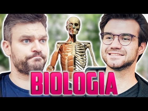 Wideo: Kiedy zaczęła się anatomia?